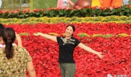 花木啦在线观看