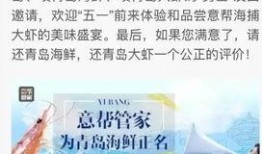 青岛今日爆料,聚焦岛城最新热点事件