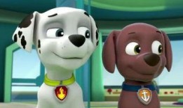 旺旺心事在线观看,在线观看背后的感人故事