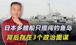 钓鱼岛真相 在线观看,揭秘历史与现实的较量