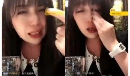 豆姐邻居爆料视频大全,揭秘生活百态，一窥邻里风情