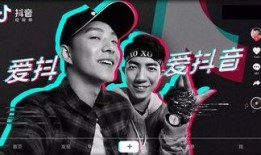 抖音大佬爆料视频大全下载,揭秘网红幕后故事