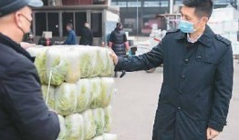 长沙新农人最新爆料,农业现代化新动向与乡村振兴新篇章