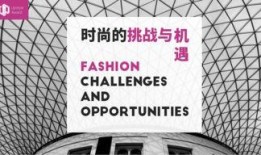 简约版新闻发布会爆料,揭秘项目最新动态与亮点”