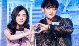 杨幂艾伦最新爆料,揭秘娱乐圈背后的惊人真相