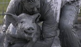 猪灌泥浆爆料方法视频教程,轻松掌握视频制作技巧