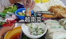 越南美食爆料事件始末视频,真相揭秘与网络热议回顾