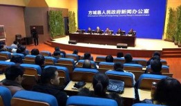 方城新闻最新爆料消息,重大事件背后真相揭晓！