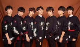 时代峰峻最新爆料,揭秘明星养成背后的秘密与挑战