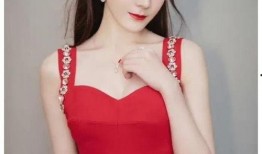 关宝慧娱乐圈爆料,娱乐圈背后的惊人真相