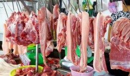 猪肉爆料视频大全图片,揭秘视频大全中的食品安全真相