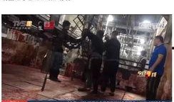 猪肉爆料视频大全集播放