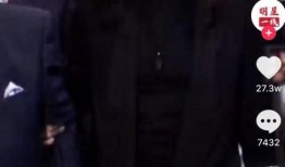 谁爆料的李嘉欣视频,真相背后引热议