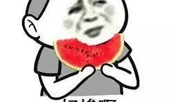 雅珍吃瓜日常在线观看免费,揭秘娱乐圈幕后真相，免费在线观看