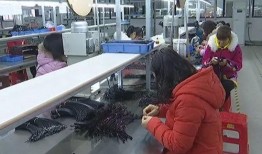国内电子厂爆料视频播放,揭秘国内电子厂爆料视频背后的真实情况