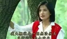 许楚萧前女友爆料视频,揭秘明星感情纠葛背后的真相