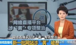 成都爆料家长事件真相视频,还原背后真相与反思