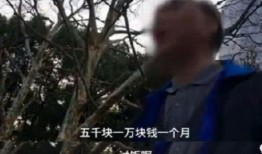 老大爷爆料要饭视频大全,老大爷爆料经典要饭视频大盘点