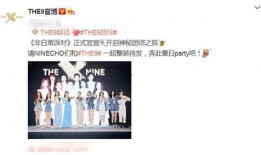 the9团最新爆料,独家爆料揭秘幕后故事