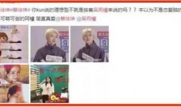 关于蔡某某的爆料新闻,揭秘背后真相与争议