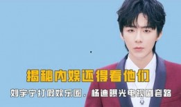 刘宇娱乐爆料视频大全,揭秘娱乐圈幕后故事
