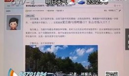 青岛今日爆料,聚焦岛城最新热点事件