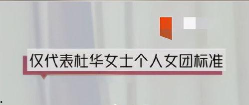 娱乐吃瓜文字解说全集,揭秘明星幕后故事